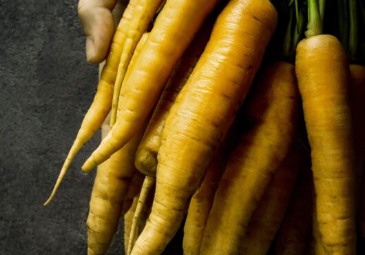 Carrot Uzbek Gold web_1116214190 1 1 scaled