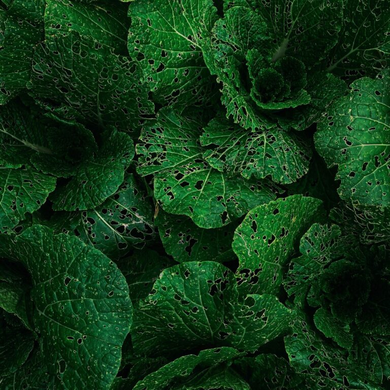 eugene golovesov xFJ mhKq4do unsplash scaled