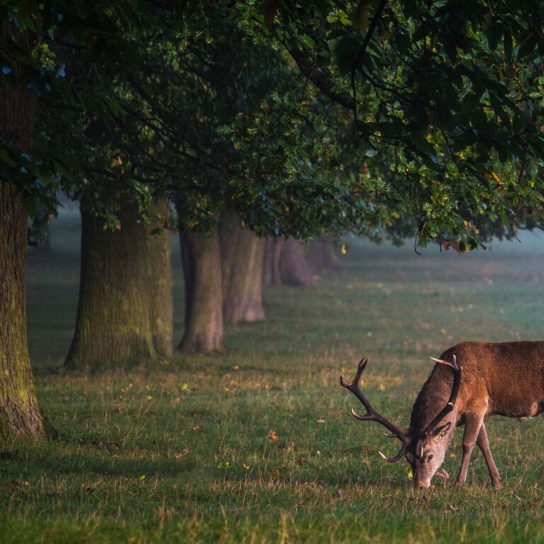 diana parkhouse 1tsAbBciTic unsplash scaled