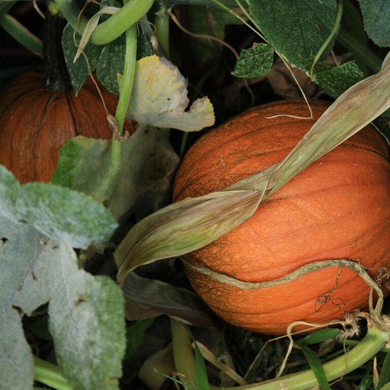 danny burke DBl6TAlnCjM unsplash scaled