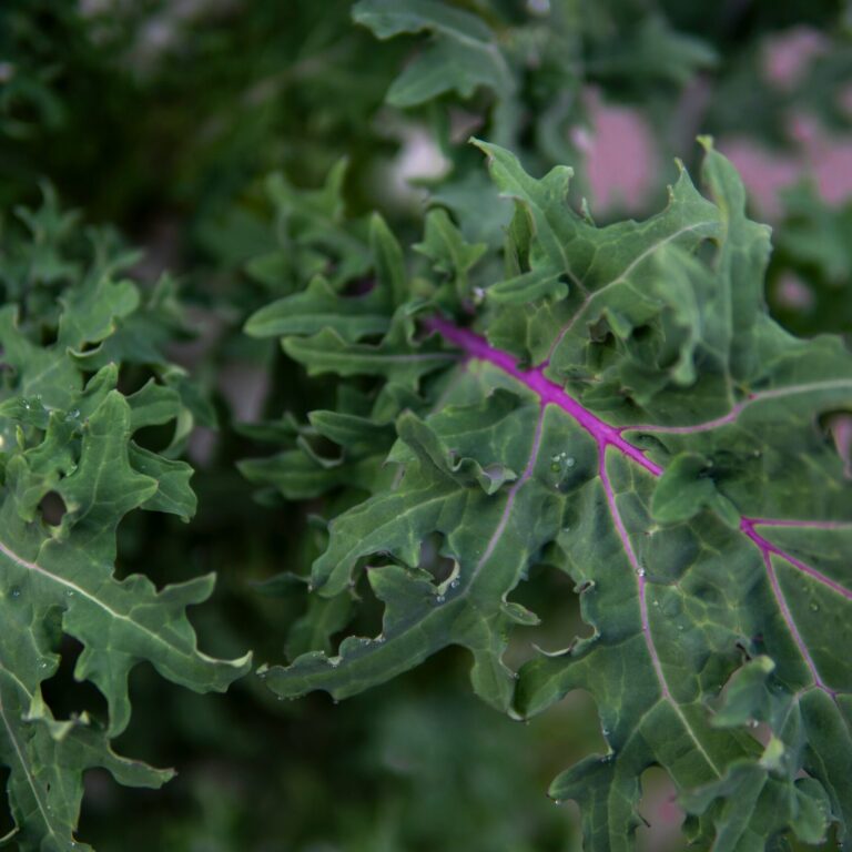 rakitha perera 7BTetVQWJu0 unsplash scaled