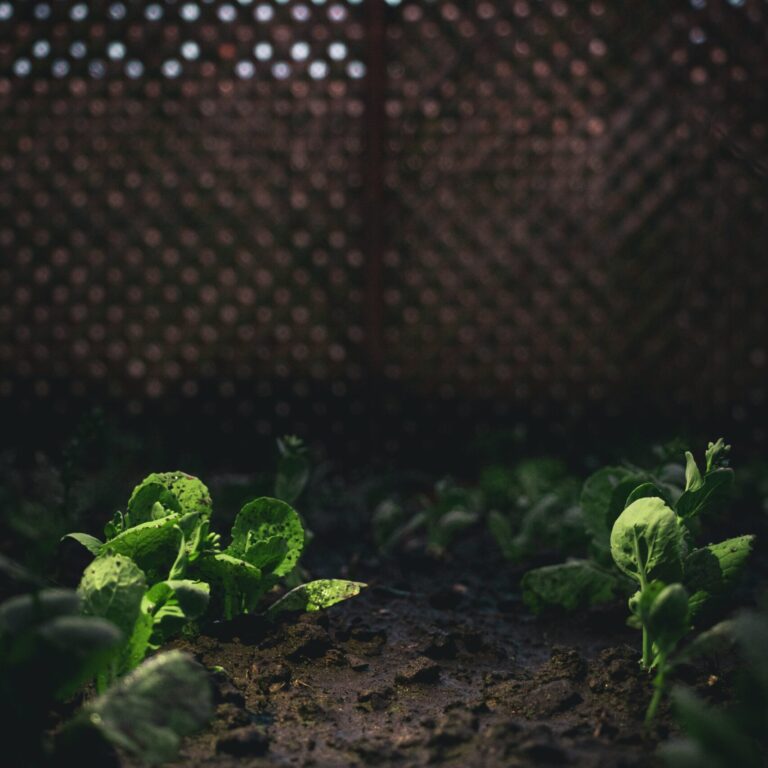 lianhao qu vEwJr5UY1Lc unsplash scaled