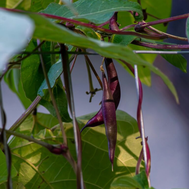 chelsey marques AV5Ul1_5hO0 unsplash scaled