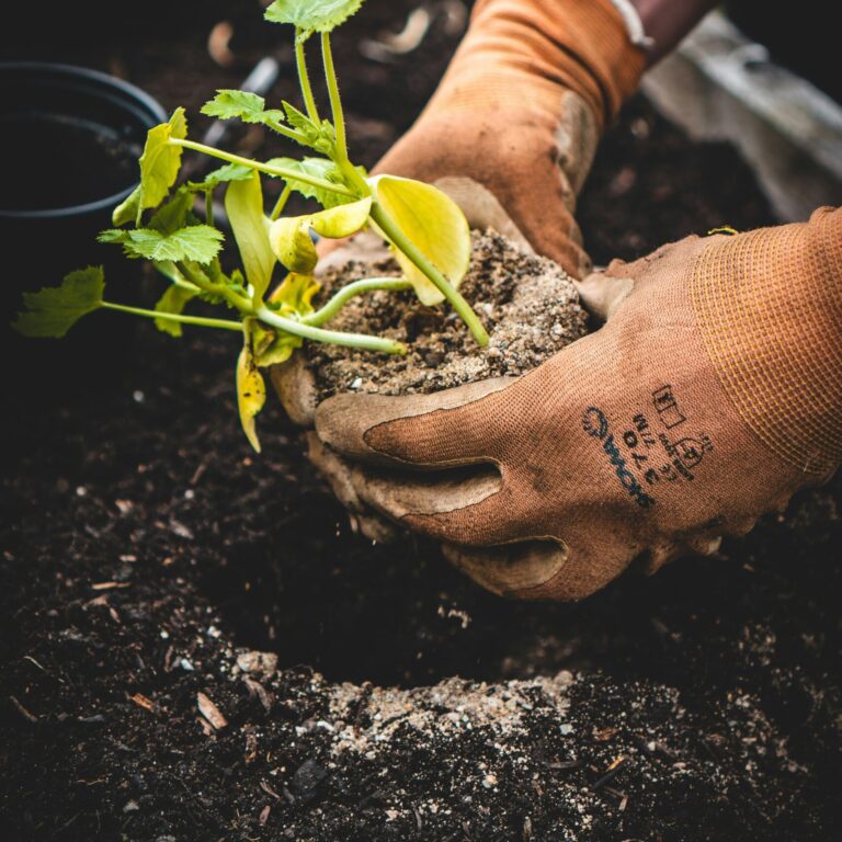 jonathan kemper CbZh3kaPxrE unsplash 1 scaled