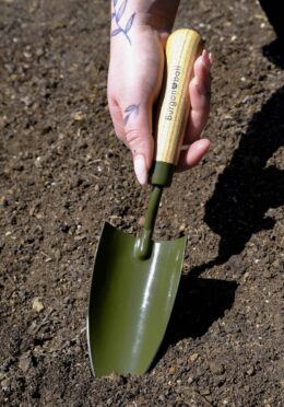 Garden 023 LAH 2025 web _DSF6159 scaled