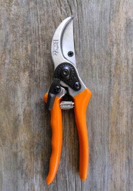 Garden 027 LAH 2025 web _DSF5902 scaled