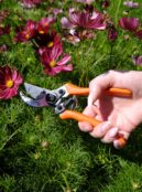 Garden 027 LAH 2025 web_DSF6117 scaled