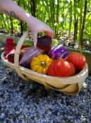 Garden 033 LAH 2025 web _DSF6051 scaled