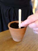 Garden 038 LAH 2025 web _DSF6111 scaled