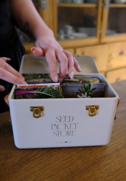 Garden 039 LAH 2025 web _DSF6104 scaled