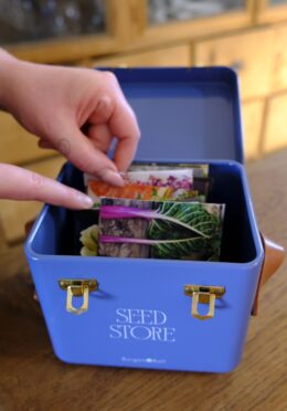 Garden 042 LAH 2025 web _DSF6097 scaled