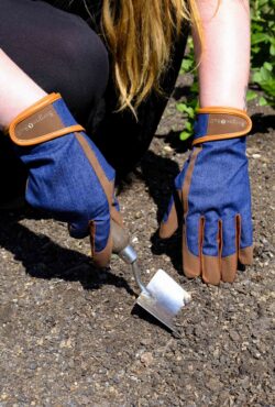 Garden 043 LAH 2025 web _DSF6128 scaled