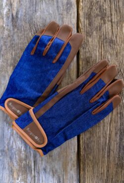 Garden 043 LAH 2025 web_DSF5888 scaled