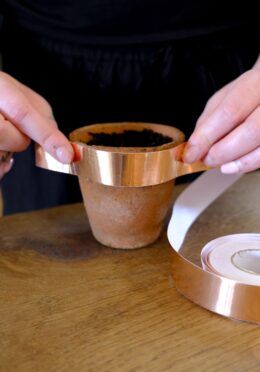 Garden 123 LAH 2025 web _DSF6134 scaled