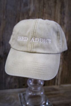 Garden 005 LAH 2025 web _DSF5275 scaled