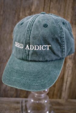 Garden 007 LAH 2025 web _DSF5263 scaled