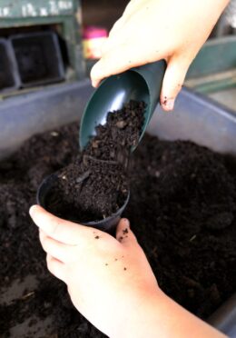 Garden 031 LAH 2025 web_DSF7371 scaled