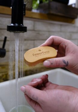 Garden 080 LAH 2025 web_DSF7315 scaled