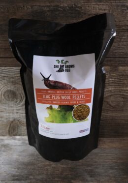 Garden 090 LAH 2025 web_DSF6515 scaled