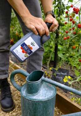 Garden 097 LAH 2025 web _DSF7341 scaled