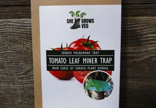 Garden 099 LAH 2025 web_DSF6543 scaled