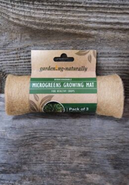 Garden 115 LAH 2025 web_DSF6521 scaled