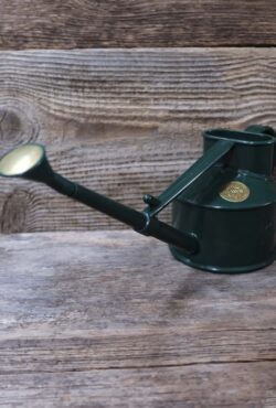 Garden 150 LAH 2025 web_DSF6477 scaled