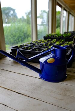 Garden 151 LAH 2025 web_DSF7253 scaled