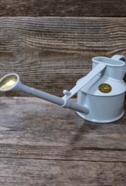 Garden 152 LAH 2025 web_DSF6480 scaled