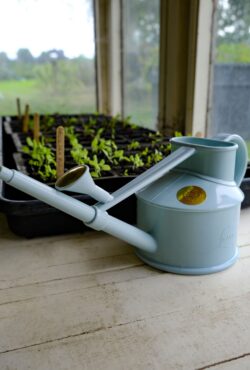 Garden 152 LAH 2025 web_DSF7250 scaled