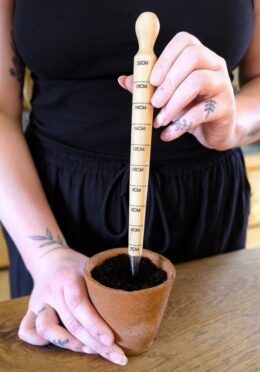 Garden 178 LAH 2025 web _DSF6120 scaled