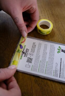 Garden 180 LAH 2025 web_DSF7313 scaled