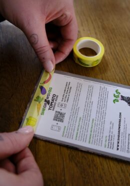 Garden 180 LAH 2025 web_DSF7313 scaled