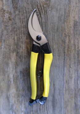 Garden 184 LAH 2025 web _DSF5836 scaled