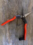 Garden 189 LAH 2025 web _DSF5841 scaled