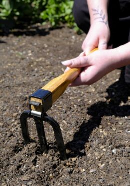 Garden 190 LAH 2025 web _DSF6139 scaled