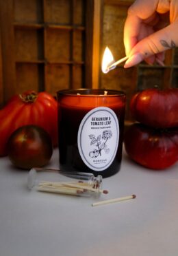 Garden 196 LAH 2025 web _DSF6087 scaled