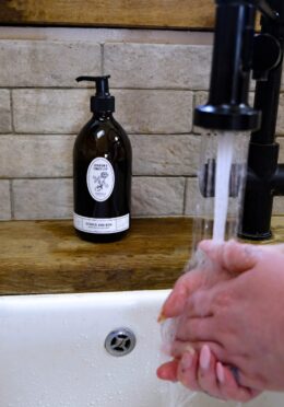 Garden 197 LAH 2025 web _DSF6095 scaled