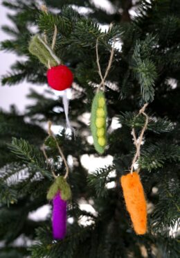 Garden 208 LAH 2025 web _DSF5568 scaled