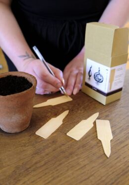 Garden 214 LAH 2025 web _DSF6122 scaled