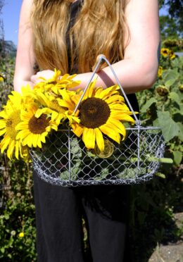 Garden 017 LAH 2025 web _DSF6065 scaled