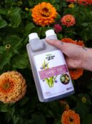 Garden 098 LAH 2025 web _DSF7348 scaled