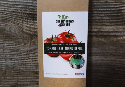 Garden 100 LAH 2025 web_DSF6542 scaled