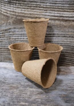 Garden 102 LAH 2025 web_DSF6572 scaled