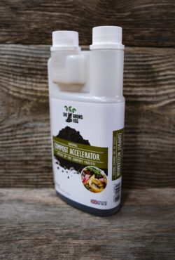 Garden 105 LAH 2025 web_DSF6509 scaled