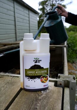 Garden 105 LAH 2025 web _DSF7351 scaled