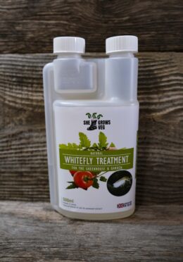 Garden 106 LAH 2025 web_DSF6506 scaled