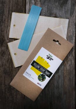 Garden 108 LAH 2025 web_DSF6545 scaled