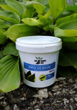 Garden 121 LAH 2025 web _DSF7359 scaled