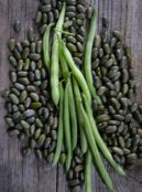 French Bean Mbombo LAN 2024 web _DSF4582 scaled